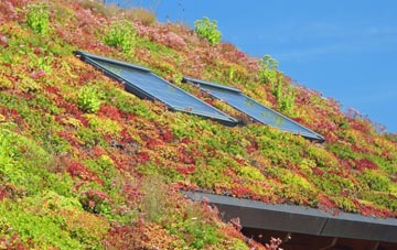 Broncroft living roof systems